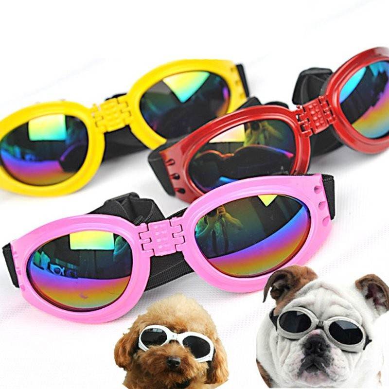 Dog Sunglasses – UV Protection & Stylish Look.